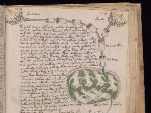 Manoscritto Voynich: un enigma da risolvere