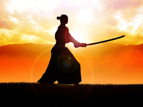 Le necessarie regole/virtù del Samurai
