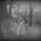 Il mistero di Bella nell’olmo